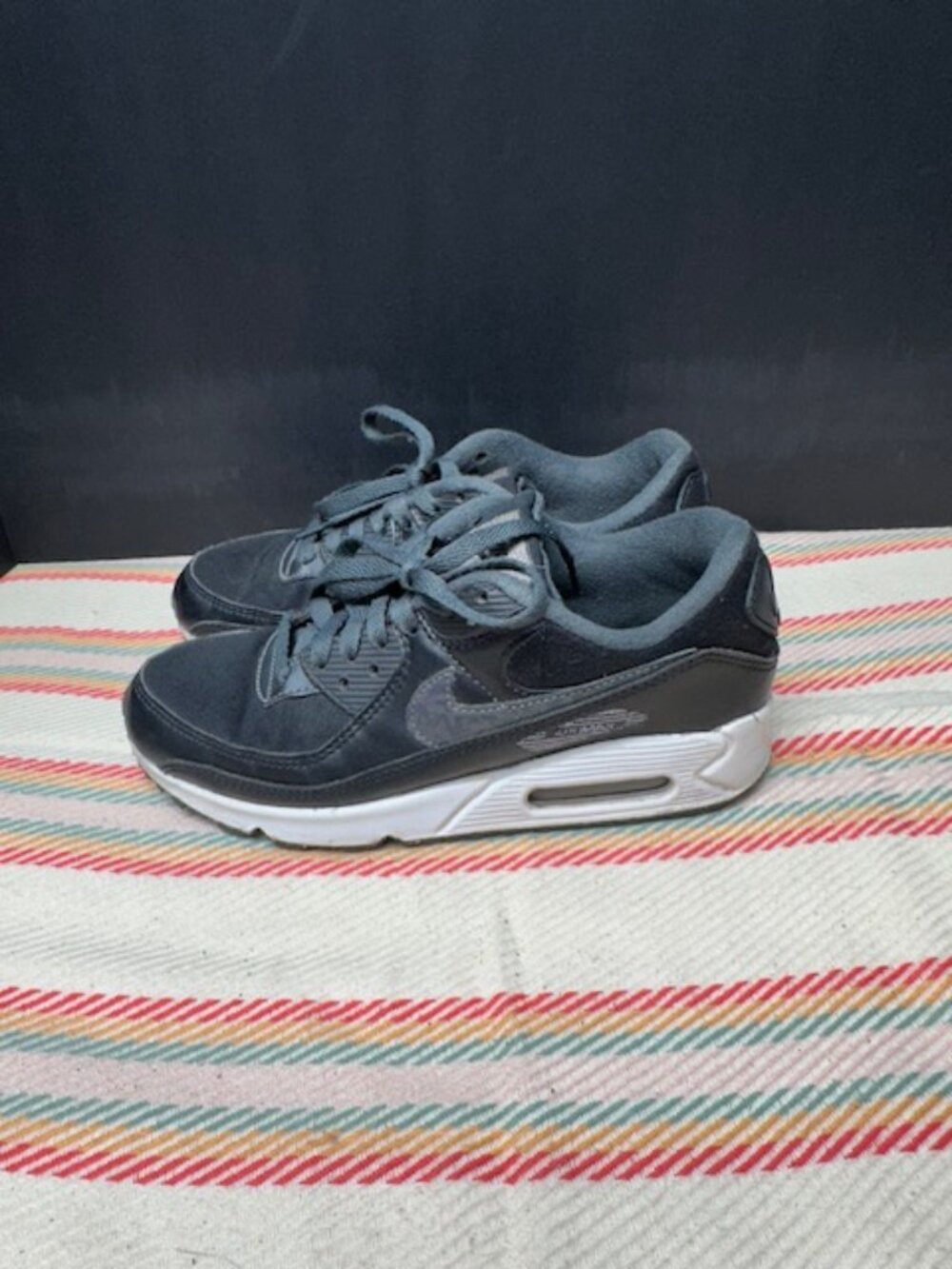 Nike Air Max 90 Woman's Size 8